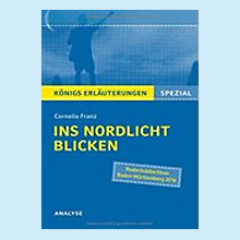 Königs Erläuterungen zu "Ins Nordlicht blicken"